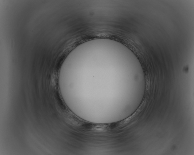 X0000091700175200708240942