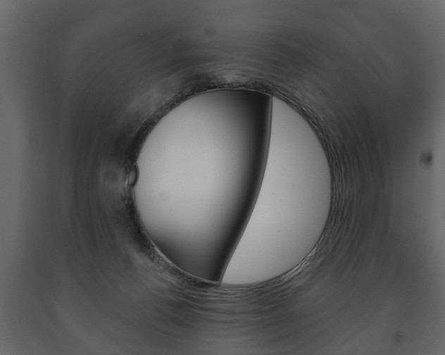 X0000091700176200708240942