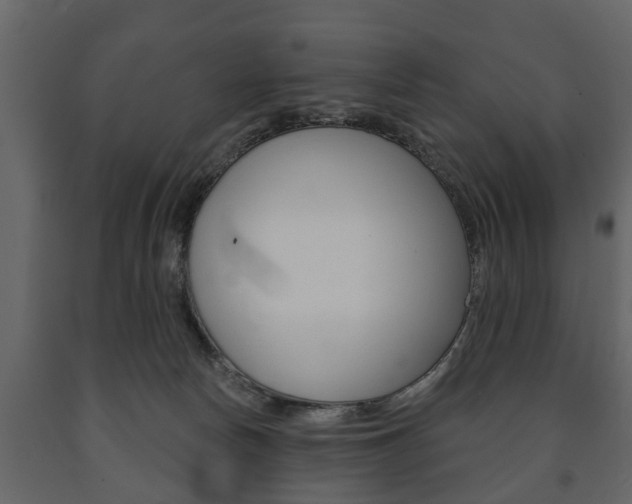 X0000091700178200708240942
