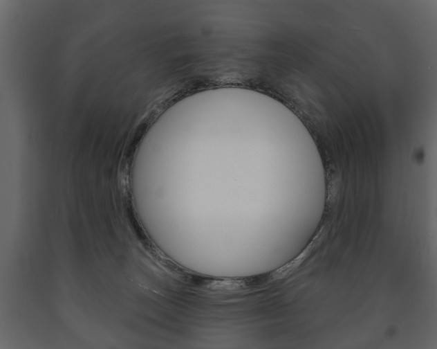 X0000091700179200708240942