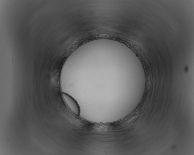 X0000091700181200708240942
