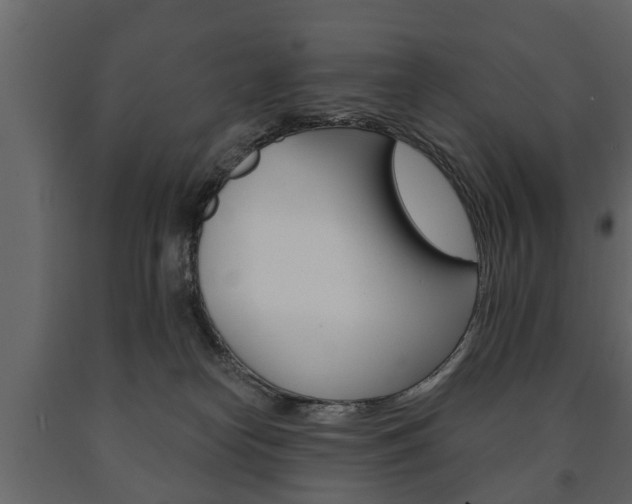 X0000091700182200708240942