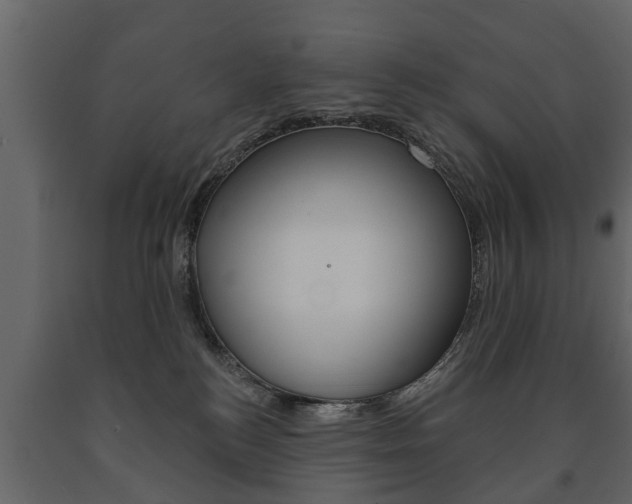 X0000091700184200708240942