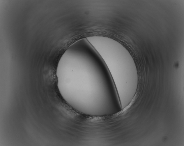 X0000091700186200708240942