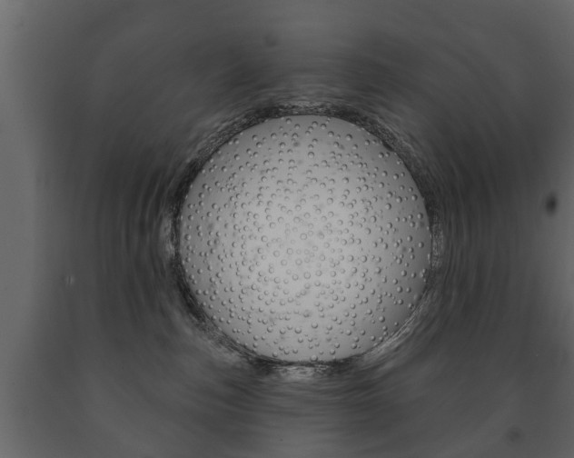 X0000091700187200708240942