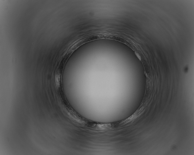 X0000091700188200708240942