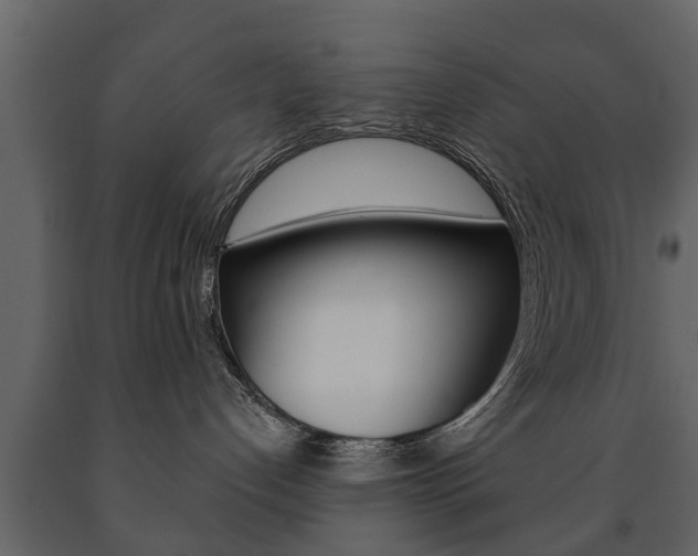 X0000091700192200708240942