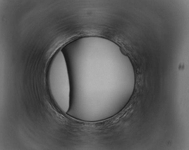 X0000091700194200708240942
