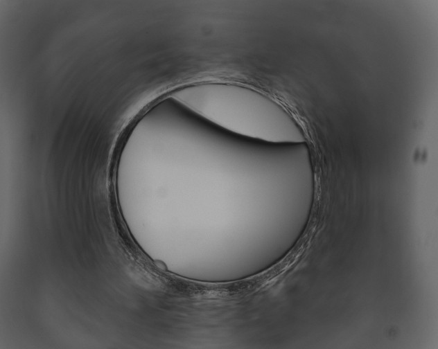 X0000091700196200708240942