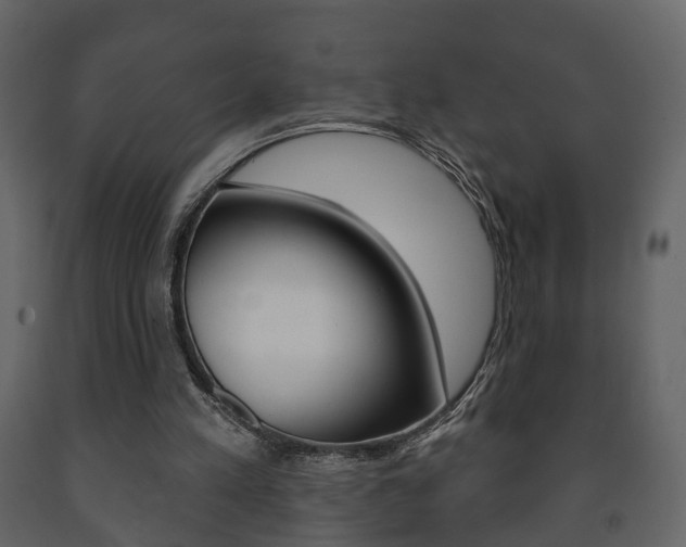 X0000091700197200708240942