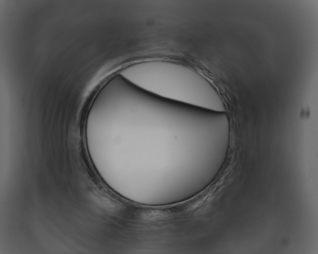 X0000091700198200708240942