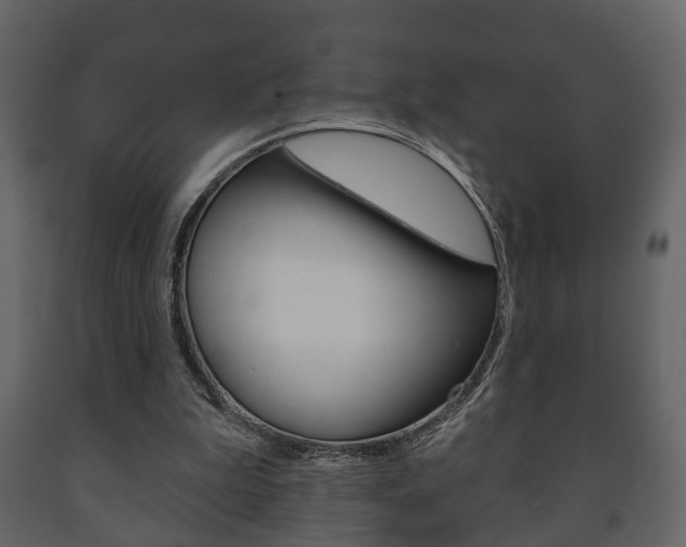 X0000091700199200708240942