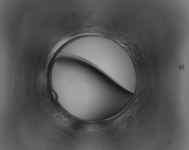 X0000091700200200708240942