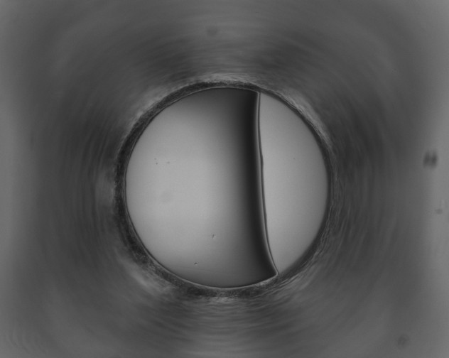 X0000091700204200708240942