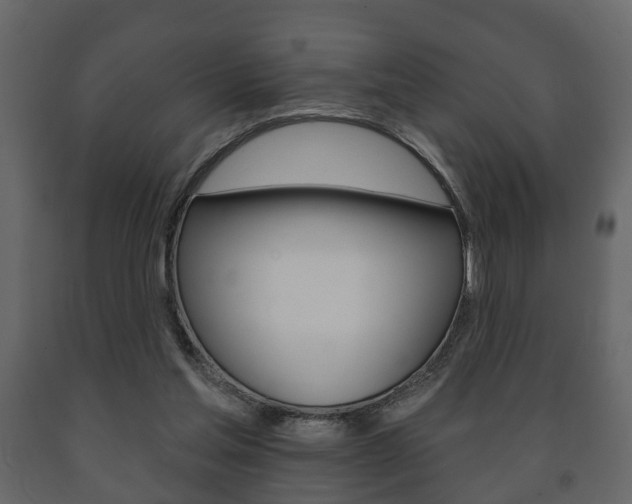 X0000091700205200708240942