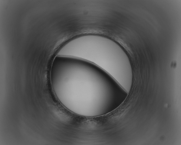 X0000091700207200708240942