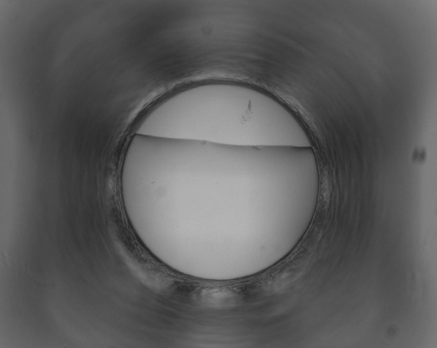X0000091700208200708240942
