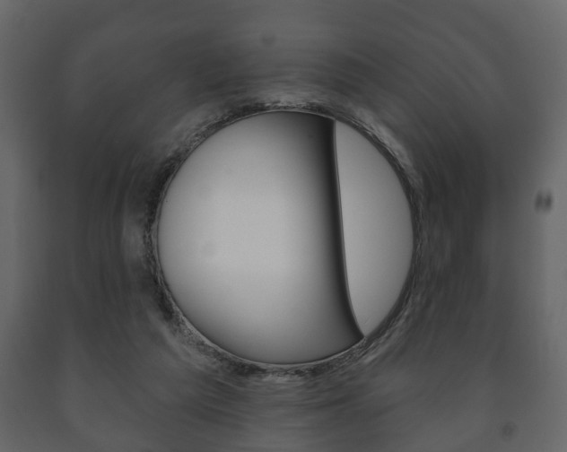 X0000091700209200708240942