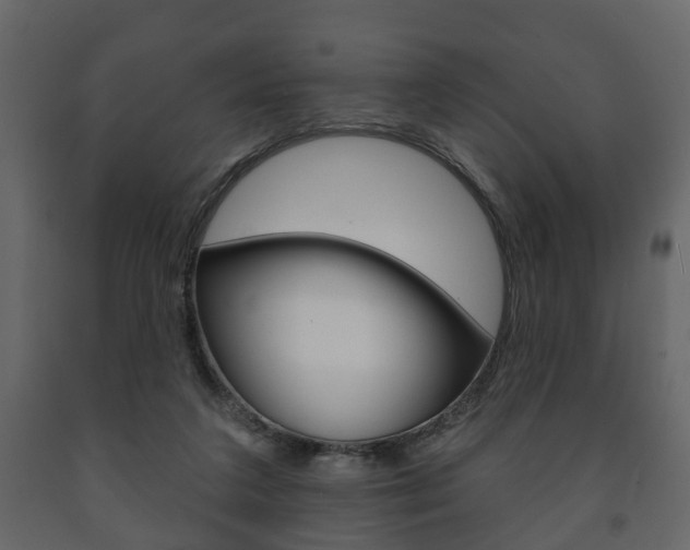 X0000091700211200708240942