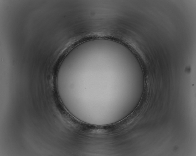 X0000091700212200708240942