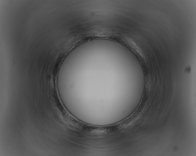X0000091700213200708240941