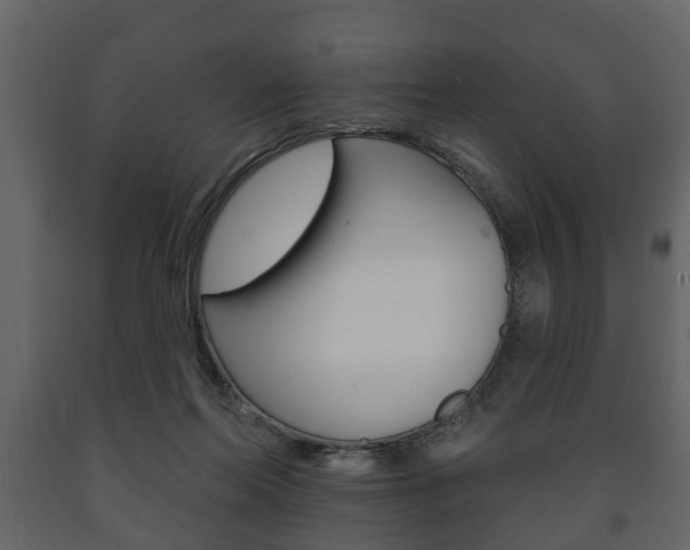 X0000091700214200708240941