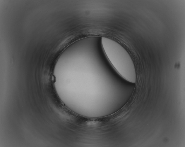 X0000091700216200708240941