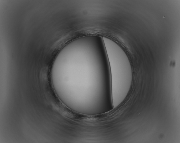 X0000091700217200708240941