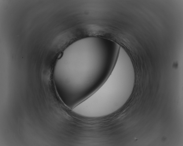 X0000091700219200708240941