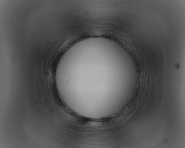 X0000091700220200708240941