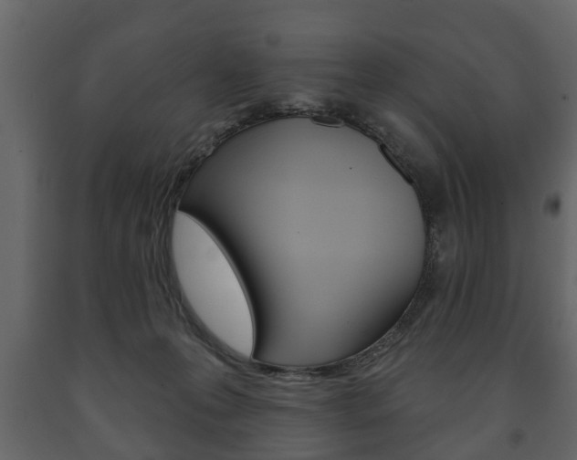 X0000091700223200708240941