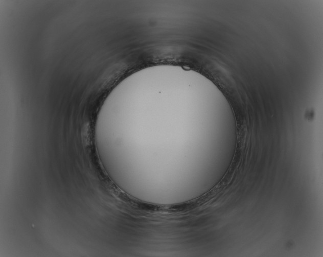 X0000091700224200708240941