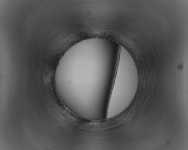 X0000091700225200708240941