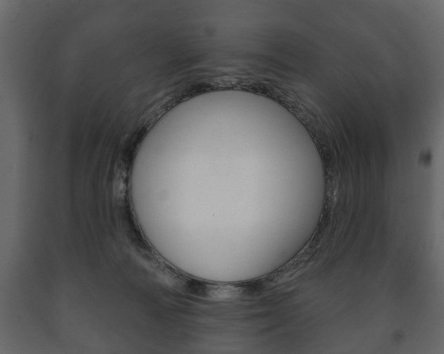 X0000091700226200708240941