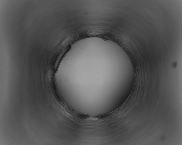 X0000091700227200708240941