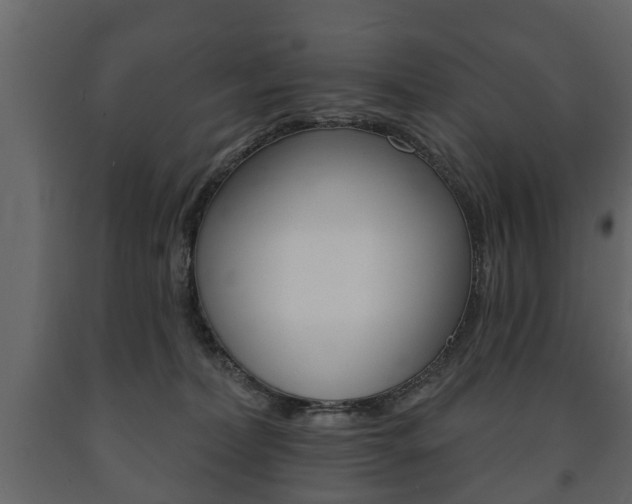 X0000091700228200708240941