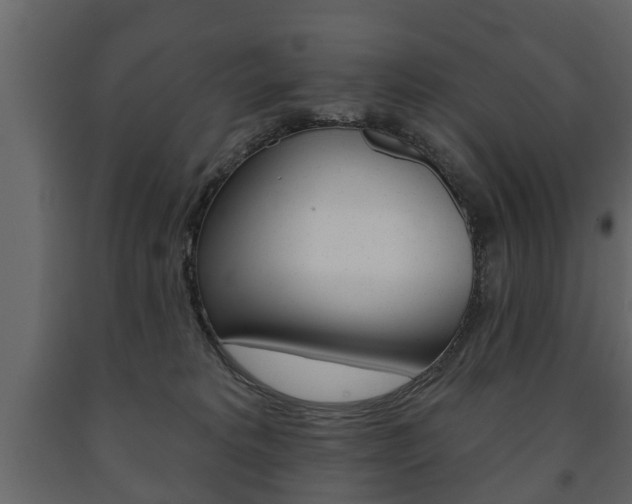 X0000091700229200708240941