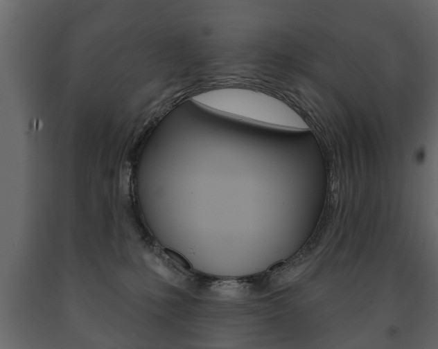 X0000091700231200708240941