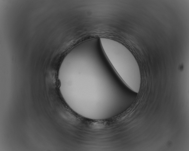 X0000091700232200708240941
