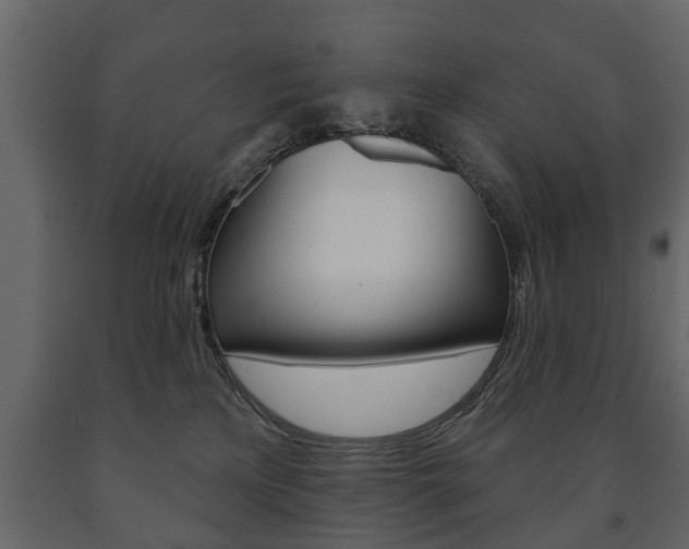 X0000091700233200708240941