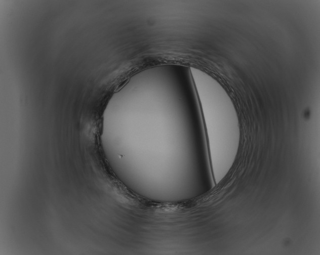 X0000091700235200708240941