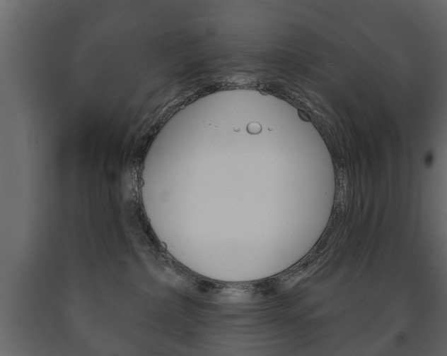 X0000091700236200708240941