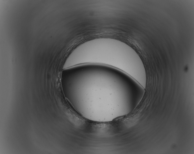 X0000091700237200708240941