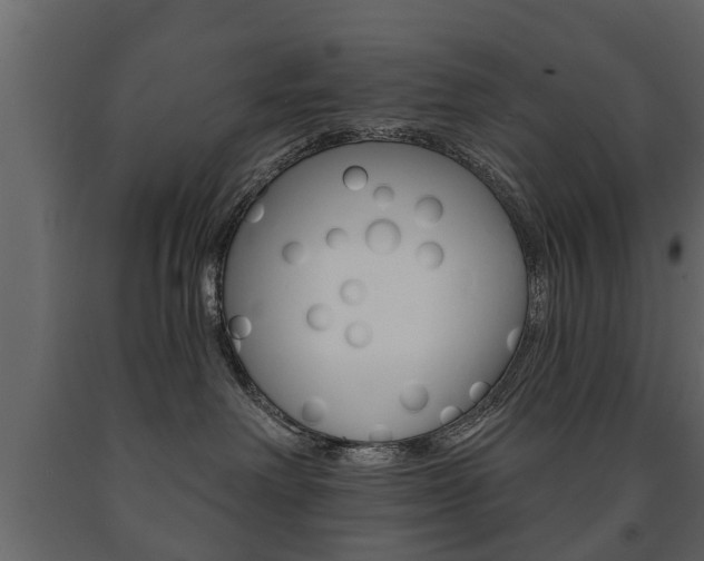 X0000091700238200708240941