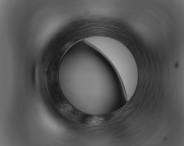 X0000091700239200708240941