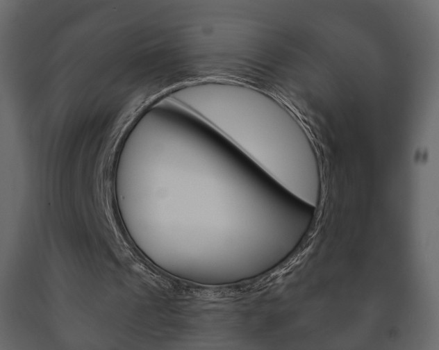 X0000091700241200708240940