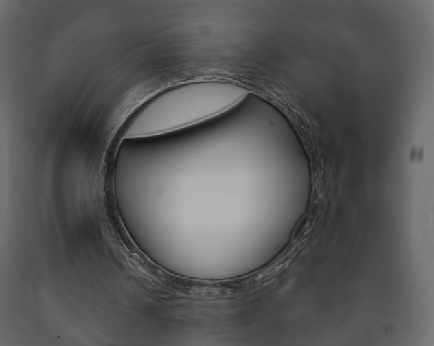 X0000091700242200708240940
