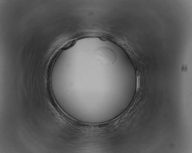 X0000091700243200708240940