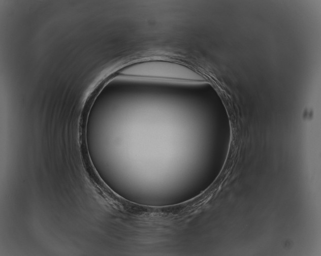 X0000091700244200708240940
