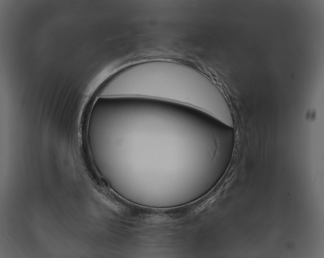 X0000091700246200708240940